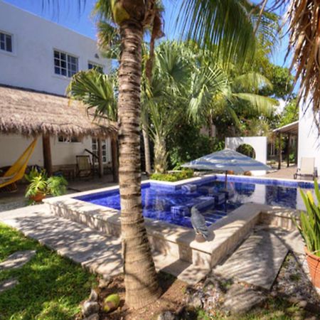 Villa Escondida Guest House Cozumel Downtown 외부 사진