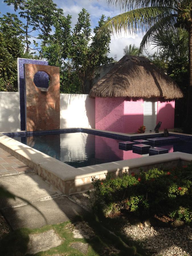 Villa Escondida Guest House Cozumel Downtown 외부 사진